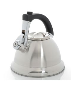 Mr Coffee Collinsbrook 2.4 Quart Stainless Steel Whistling Tea Kettle